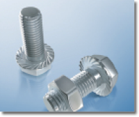 Tooth or ribbed flanged bolts