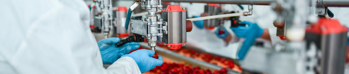 Industry-Leading Solutions for Food Processing