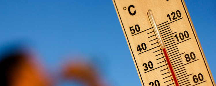 Extreme Heat Response Guide