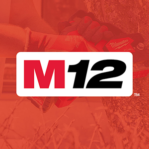 M12